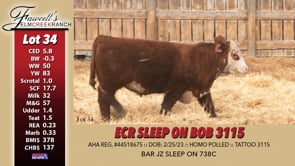 Lot #34 - ECR SLEEP ON BOB 3115