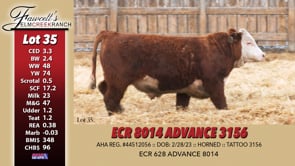 Lot #35 - ECR 8014 ADVANCE 3156