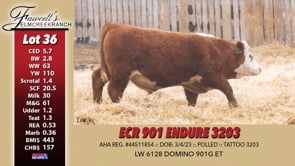 Lot #36 - ECR 901 ENDURE 3203