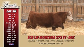 Lot #38 - ECR LW MONTANA 372 ET