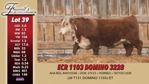 Lot #39 - ECR 1103 DOMINO 3228