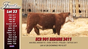 Lot #33 - ECR 901 ENDURE 3411