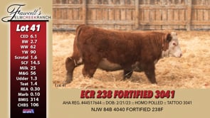 Lot #41 - ECR 238 FORTIFIED 3041