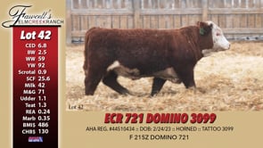 Lot #42 - ECR 721 DOMINO 3099