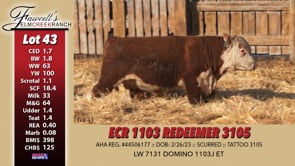 Lot #43 - ECR 1103 REDEEMER 3105