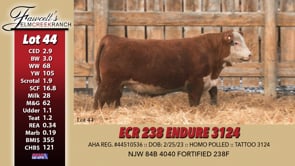 Lot #44 - ECR 238 ENDURE 3124