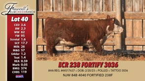 Lot #40 - ECR 238 FORTIFY 3036