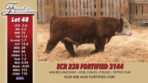 Lot #48 - ECR 238 FORTIFIED 3144