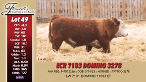 Lot #49 - ECR 1103 DOMINO 3278