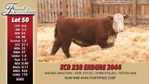 Lot #50 - ECR 238 ENDURE 3044