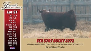 Lot #51 - ECR 5707 BUCKY 3272