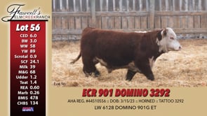 Lot #56 - ECR 901 DOMINO 3292