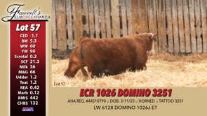 Lot #57 - ECR 1026 DOMINO 3251