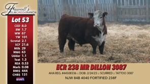 Lot #53 - ECR 238 MR DILLON 3087