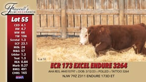 Lot #55 - ECR 173 EXCEL ENDURE 3264