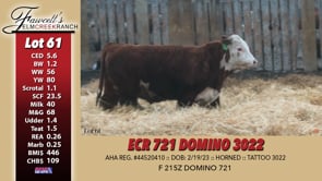 Lot #61 - ECR 721 DOMINO 3022
