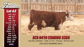 Lot #62 - ECR 0410 DOMINO 3325