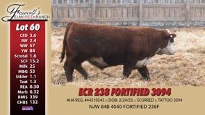 Lot #60 - ECR 238 FORTIFIED 3094