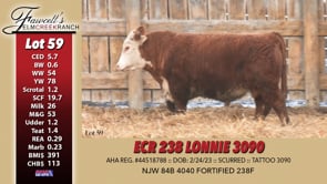 Lot #59 - ECR 238 LONNIE 3090