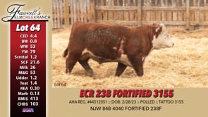 Lot #64 - ECR 238 FORTIFIED 3155