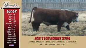 Lot #67 - ECR 1103 BOBBY 3194
