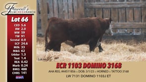 Lot #66 - ECR 1103 DOMINO 3168