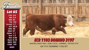 Lot #65 - ECR 1103 DOMINO 3197