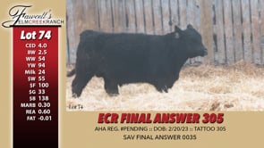 Lot #74 - ECR FINAL ANSWER 305