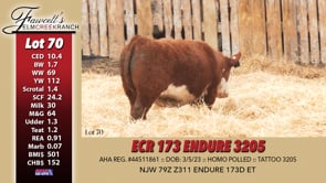 Lot #70 - ECR 173 ENDURE 3205
