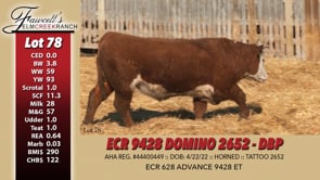 Lot #78 - ECR 9428 DOMINO 2652