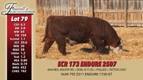 Lot #79 - ECR 173 ENDURE 2507