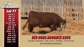 Lot #77 - ECR 0025 ADVANCE 2393