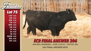 Lot #75 - ECR FINAL ANSWER 306