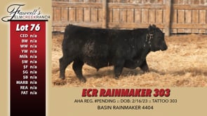 Lot #76 - ECR RAINMAKER 303