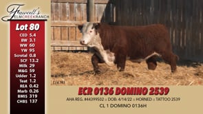 Lot #80 - ECR 0136 DOMINO 2539