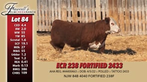 Lot #84 - ECR 238 FORTIFIED 2433