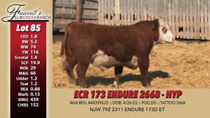 Lot #85 - ECR 173 ENDURE 2668