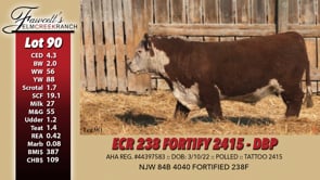 Lot #90 - ECR 238 FORTIFY 2415