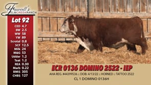 Lot #92 - ECR 0136 DOMINO 2522