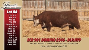 Lot #86 - ECR 901 DOMINO 2346