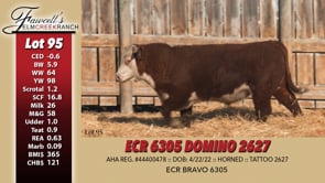 Lot #95 - ECR 6305 DOMINO 2627