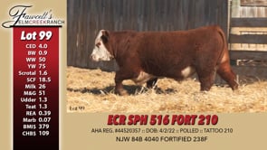 Lot #99 - ECR SPH 516 FORT 210