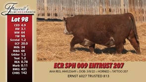 Lot #98 - ECR SPH 009 ENTRUST 207