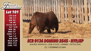 Lot #101 - ECR 0136 DOMINO 2545