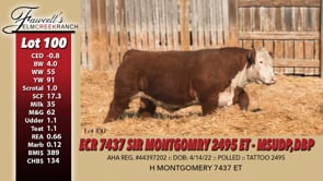 Lot #100 - ECR 7437 SIR MONTGOMERY 2495 ET