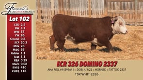 Lot #102 - ECR 326 DOMINO 2337