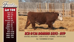 Lot #104 - ECR 0136 DOMINO 2593