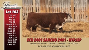 Lot #103 - ECR 2401 SANCHO 2401