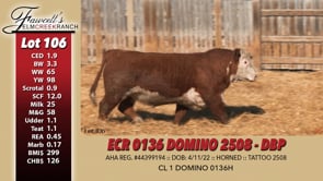 Lot #106 - ECR 0136 DOMINO 2508