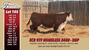 Lot #105 - ECR 97F HOMELESS 2488